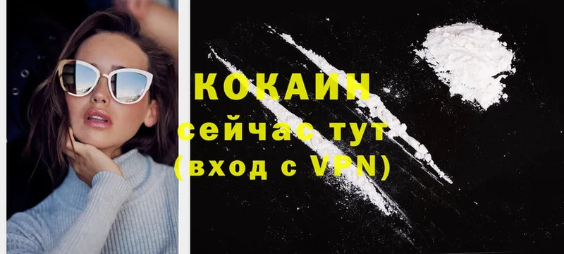 COCAIN VHQ  Новая Ладога 