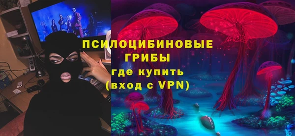 дмт Михайловск